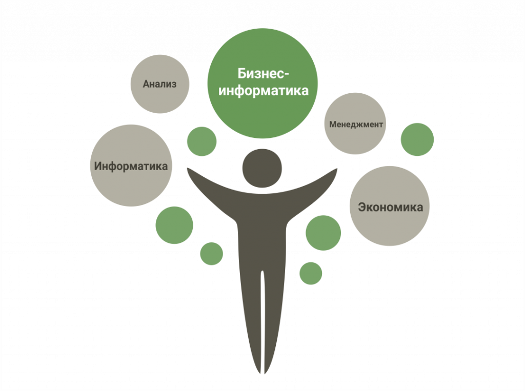 Бизнес информатика что это. Бизнес Информатика. Бизнес-Информатика специальность. Бизнес Информатика профессии. Специальность бизнес Информатик.