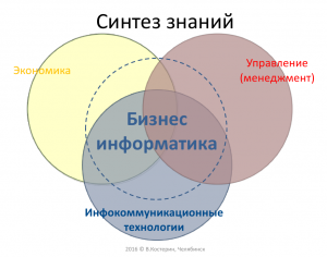 Бизнес информатика